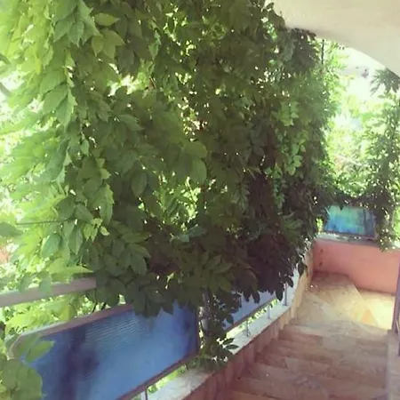 Dolce * Saranda
